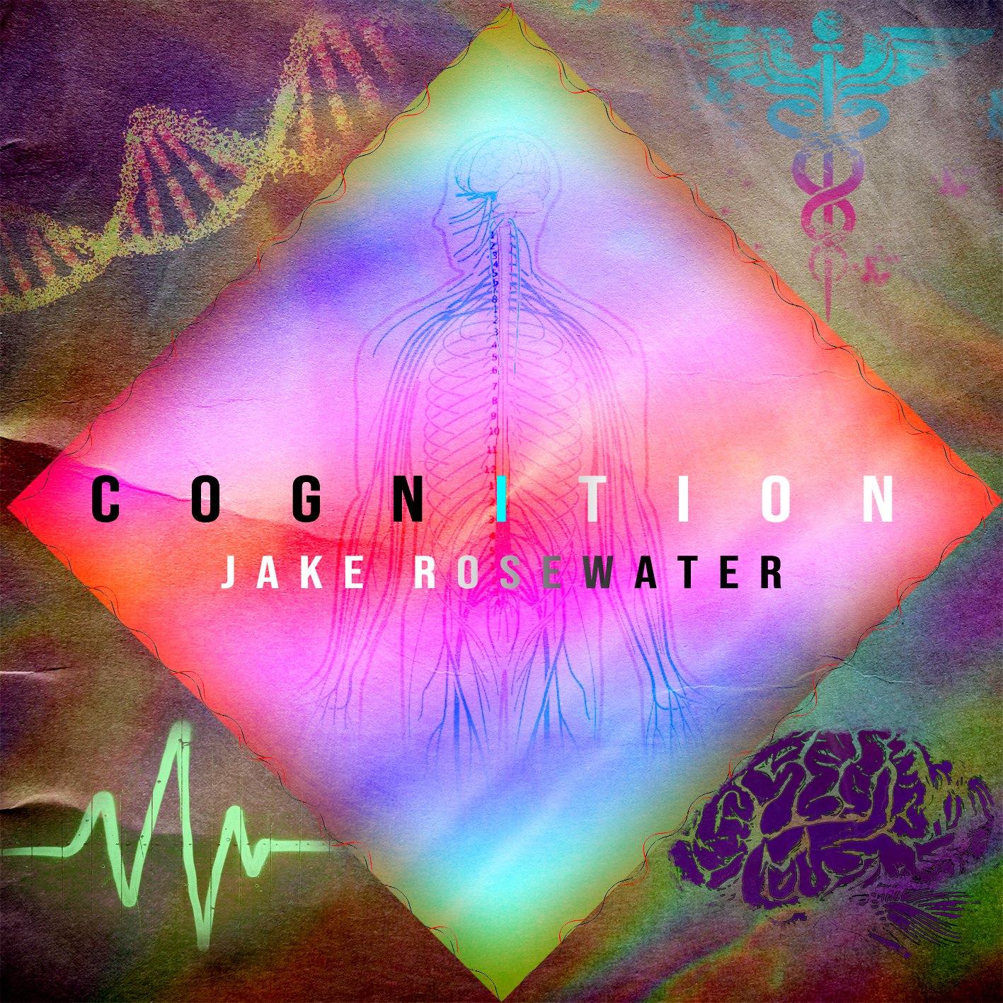 Jake Rosewater's "Cognition" project intro banner